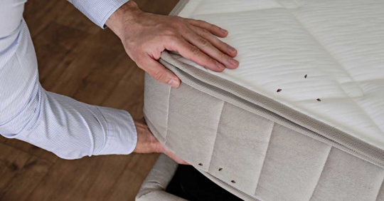 man inspecting inspecting mattress for bed bugs
