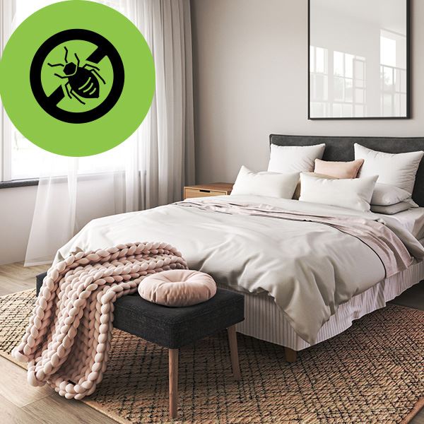 Bed Bug Treatment